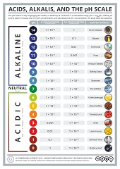 Acids Alkalis and the pH Scale inforgraphic