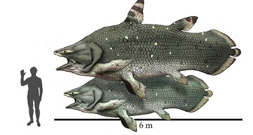 Coelacanths-giant_ancient.jpg