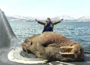 Walrus on Russian sub