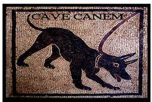 Cave Canem